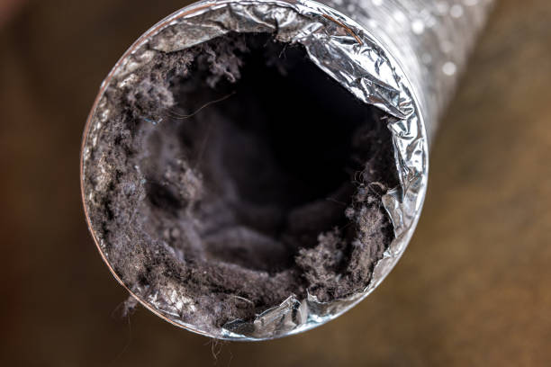Best HVAC Duct Inspection Services  in Jefferson, LA