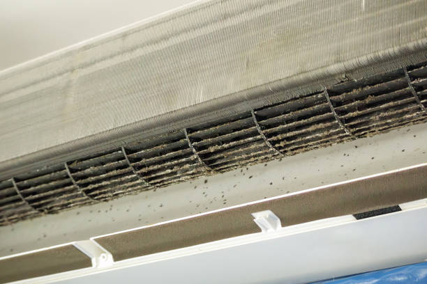 Best Professional Duct Cleaning Services  in Jefferson, LA